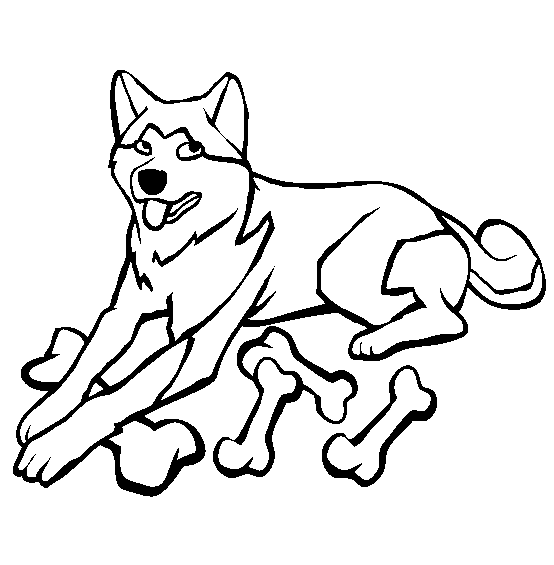 Akita Coloring Page | Free Akita Online Coloring