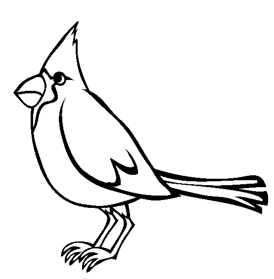 Cardinal Coloring Page | Free Cardinal Online Coloring